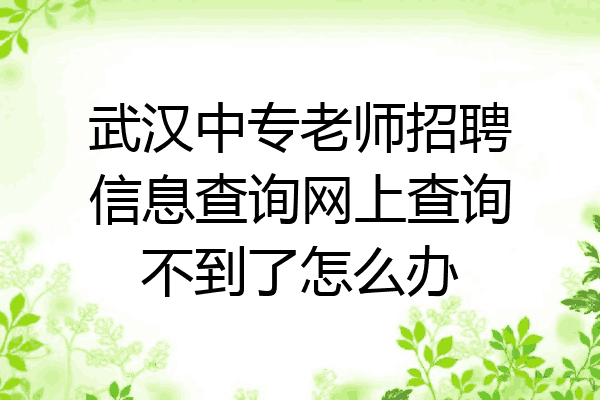 武汉中专老师招聘信息查询网上查询不到了怎么办