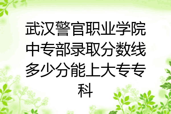 武汉警官职业学院中专部录取分数线多少分能上大专专科