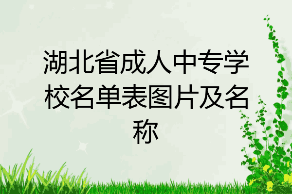 湖北省成人中专学校名单表图片及名称
