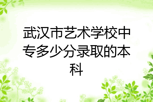 武汉市艺术学校中专多少分录取的本科