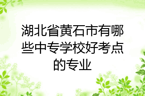 湖北省黄石市有哪些中专学校好考点的专业