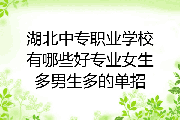 湖北中专职业学校有哪些好专业女生多男生多的单招