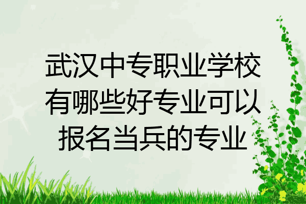 武汉中专职业学校有哪些好专业可以报名当兵的专业
