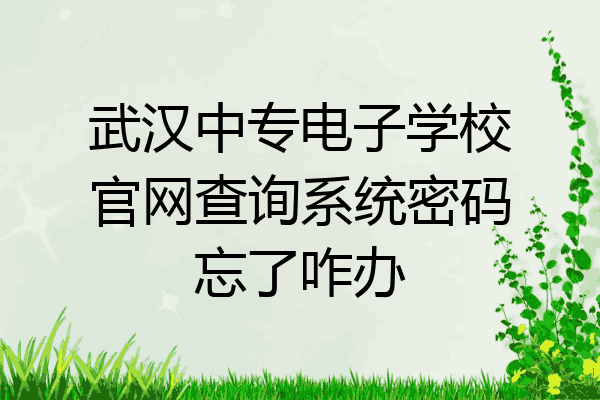 武汉中专电子学校官网查询系统密码忘了咋办