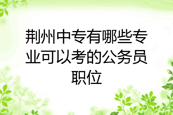 荆州中专有哪些专业可以考的公务员职位