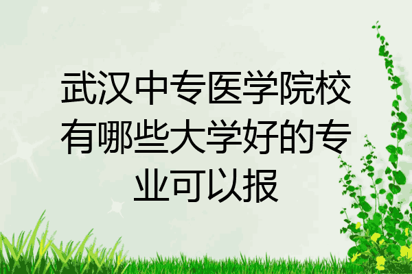 武汉中专医学院校有哪些大学好的专业可以报