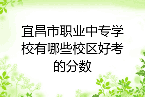 宜昌市职业中专学校有哪些校区好考的分数