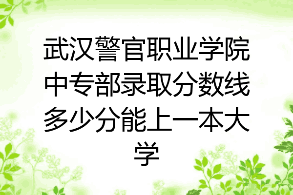武汉警官职业学院中专部录取分数线多少分能上一本大学