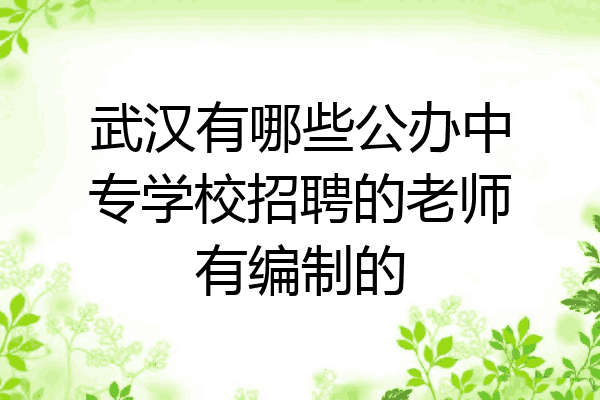 武汉有哪些公办中专学校招聘的老师有编制的