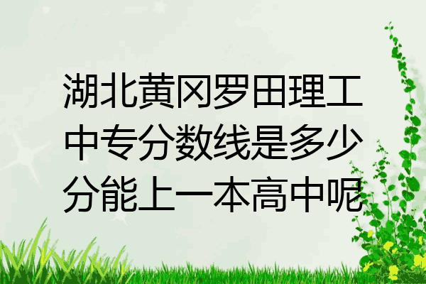 湖北黄冈罗田理工中专分数线是多少分能上一本高中呢