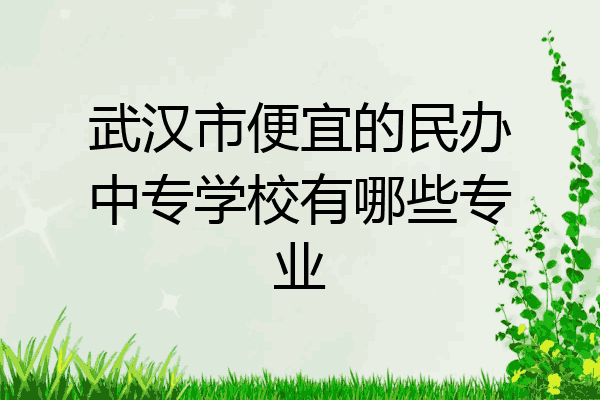 武汉市便宜的民办中专学校有哪些专业