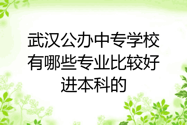武汉公办中专学校有哪些专业比较好进本科的