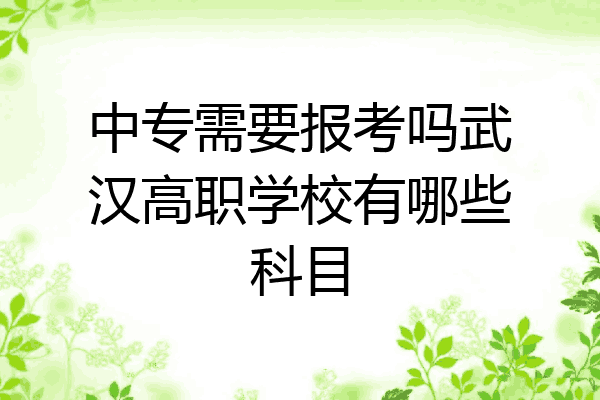 中专需要报考吗武汉高职学校有哪些科目