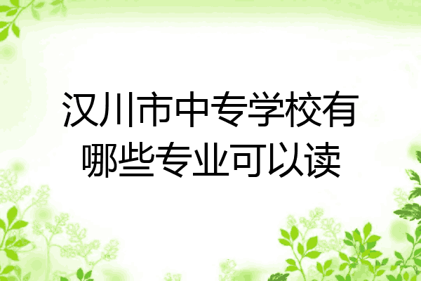 汉川市中专学校有哪些专业可以读