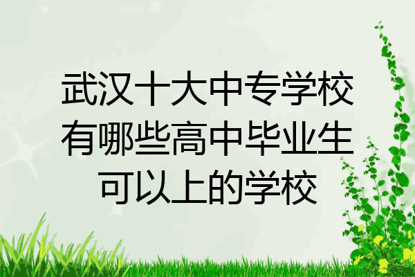 武汉十大中专学校有哪些高中毕业生可以上的学校