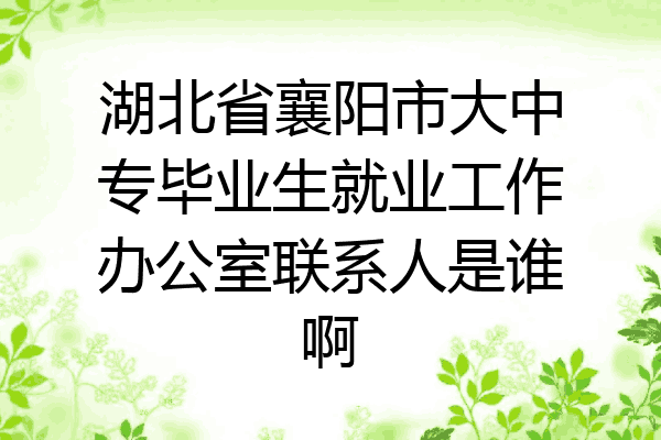 湖北省襄阳市大中专毕业生就业工作办公室联系人是谁啊