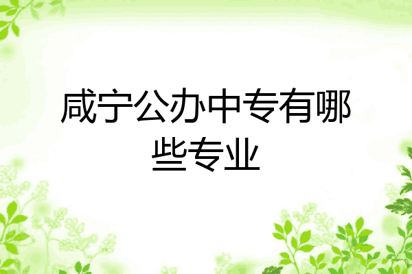 咸宁公办中专有哪些专业