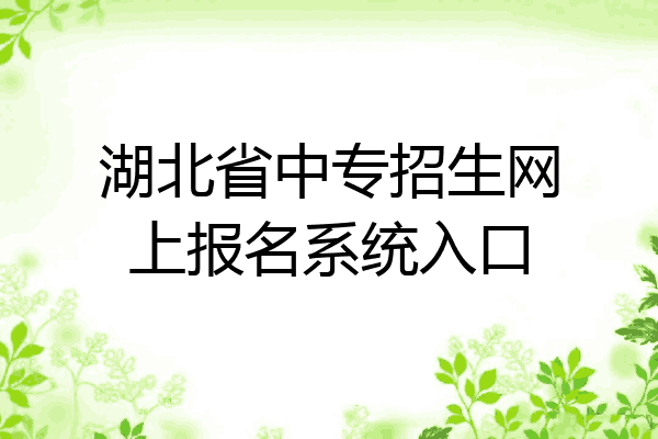 湖北省中专招生网上报名系统入口