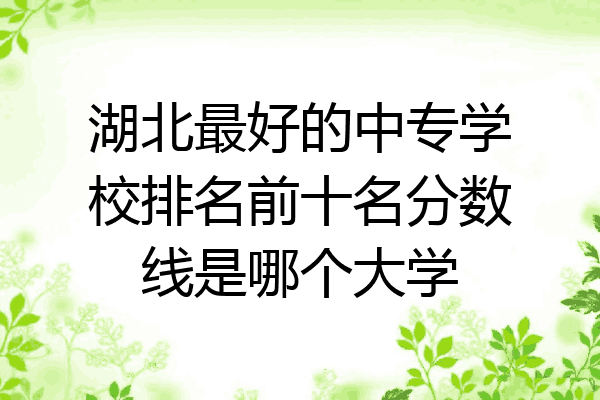 湖北最好的中专学校排名前十名分数线是哪个大学
