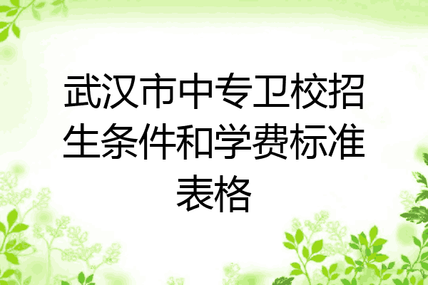 武汉市中专卫校招生条件和学费标准表格