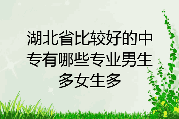 湖北省比较好的中专有哪些专业男生多女生多