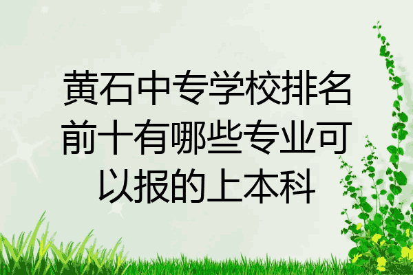 黄石中专学校排名前十有哪些专业可以报的上本科