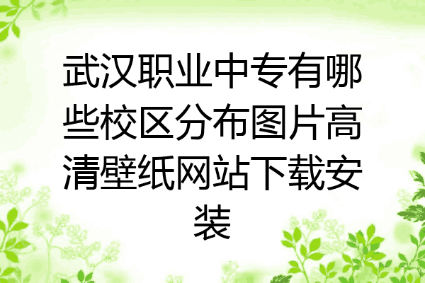 武汉职业中专有哪些校区分布图片高清壁纸网站下载安装