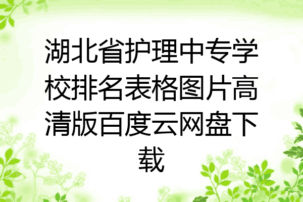 湖北省护理中专学校排名表格图片高清版百度云网盘下载