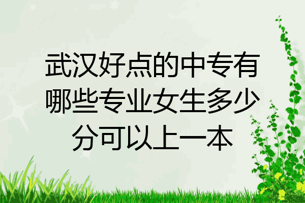 武汉好点的中专有哪些专业女生多少分可以上一本