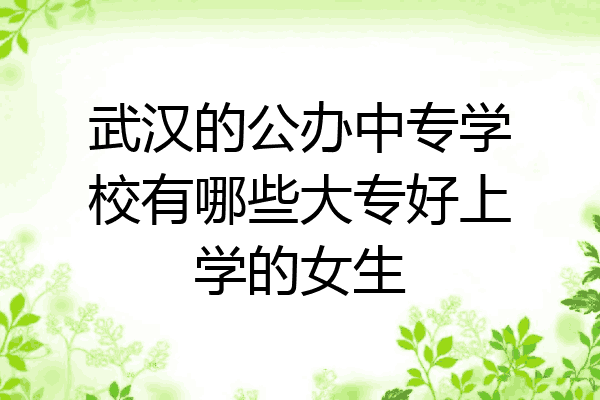 武汉的公办中专学校有哪些大专好上学的女生