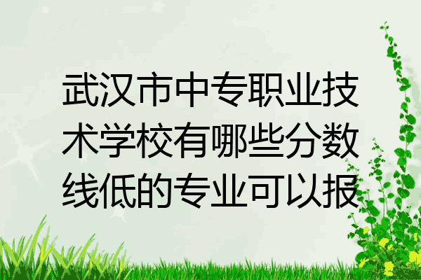 武汉市中专职业技术学校有哪些分数线低的专业可以报