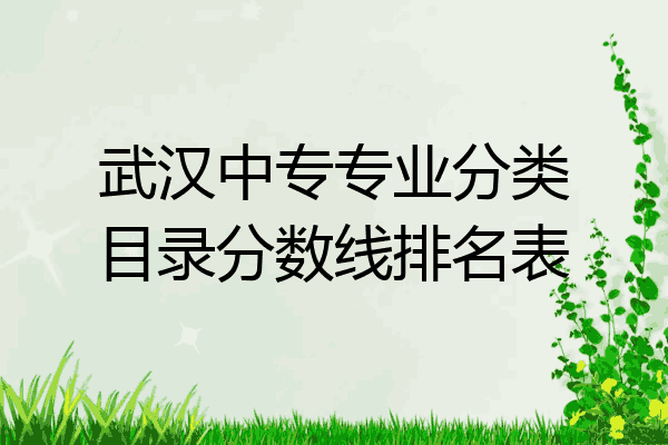 武汉中专专业分类目录分数线排名表