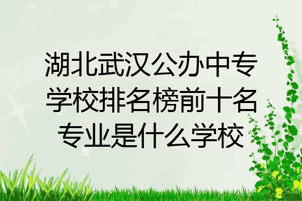 湖北武汉公办中专学校排名榜前十名专业是什么学校