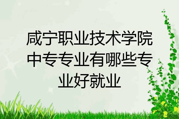 咸宁职业技术学院中专专业有哪些专业好就业