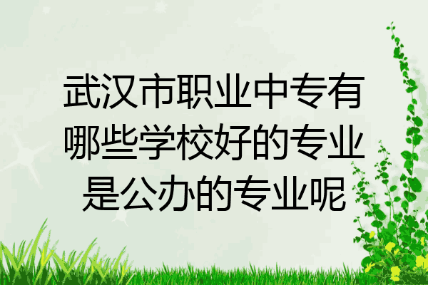武汉市职业中专有哪些学校好的专业是公办的专业呢