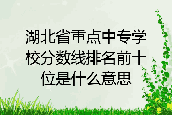 湖北省重点中专学校分数线排名前十位是什么意思