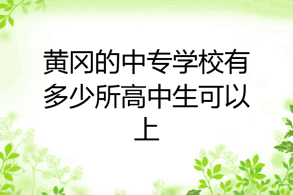 黄冈的中专学校有多少所高中生可以上