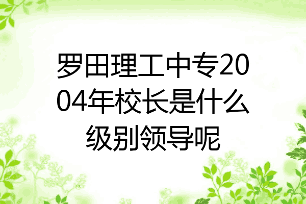 罗田理工中专2004年校长是什么级别领导呢