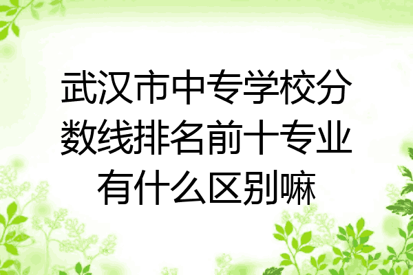 武汉市中专学校分数线排名前十专业有什么区别嘛