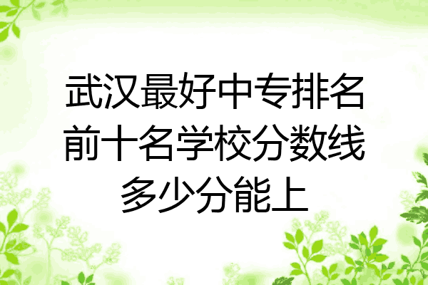 武汉最好中专排名前十名学校分数线多少分能上