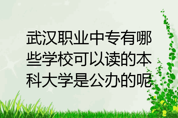 武汉职业中专有哪些学校可以读的本科大学是公办的呢