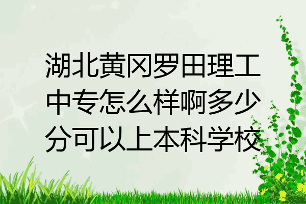 湖北黄冈罗田理工中专怎么样啊多少分可以上本科学校