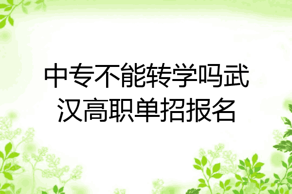 中专不能转学吗武汉高职单招报名