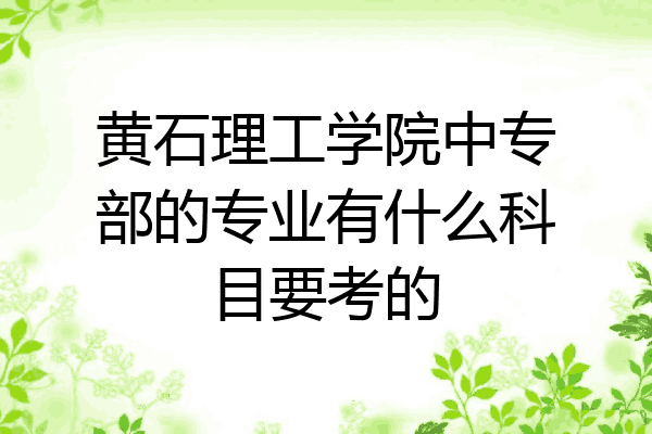 黄石理工学院中专部的专业有什么科目要考的