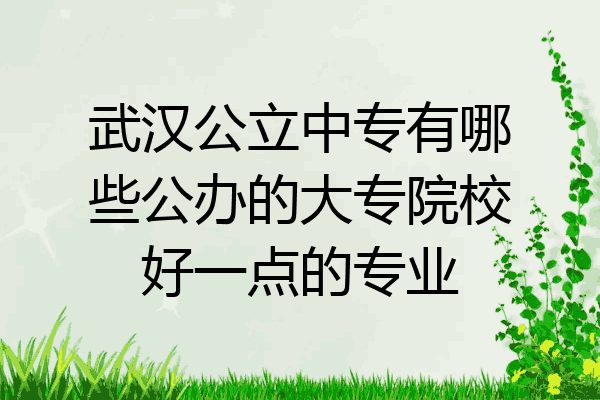 武汉公立中专有哪些公办的大专院校好一点的专业