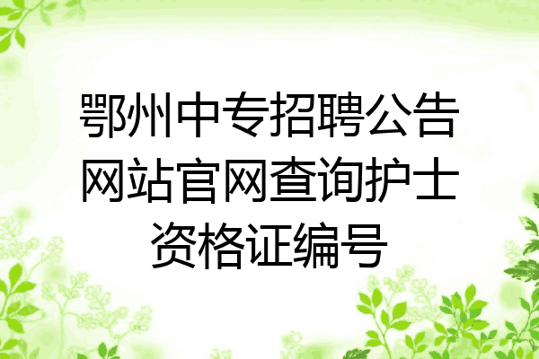 鄂州中专招聘公告网站官网查询护士资格证编号