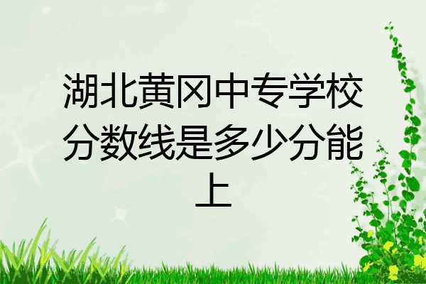 湖北黄冈中专学校分数线是多少分能上