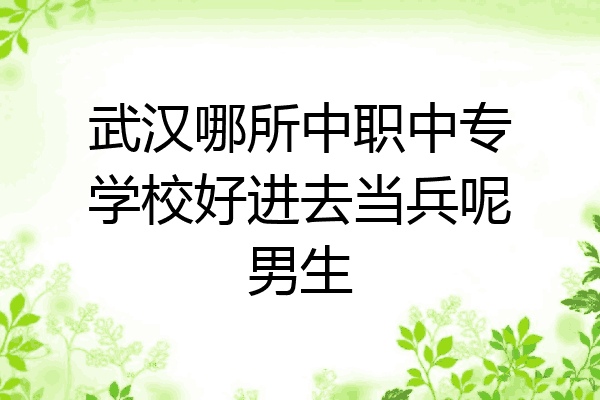 武汉哪所中职中专学校好进去当兵呢男生