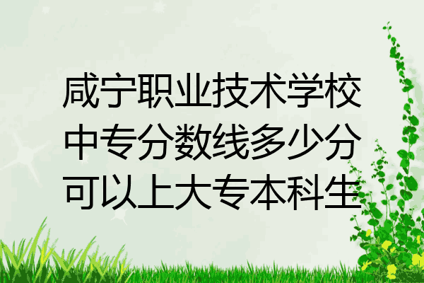 咸宁职业技术学校中专分数线多少分可以上大专本科生