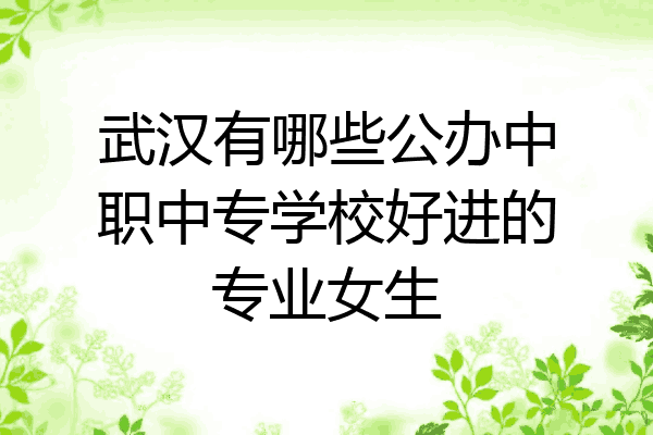 武汉有哪些公办中职中专学校好进的专业女生